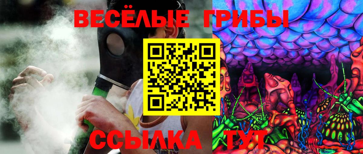 Псилоцибиновые грибы мицелий  Вход с VPN  Ноябрьск 